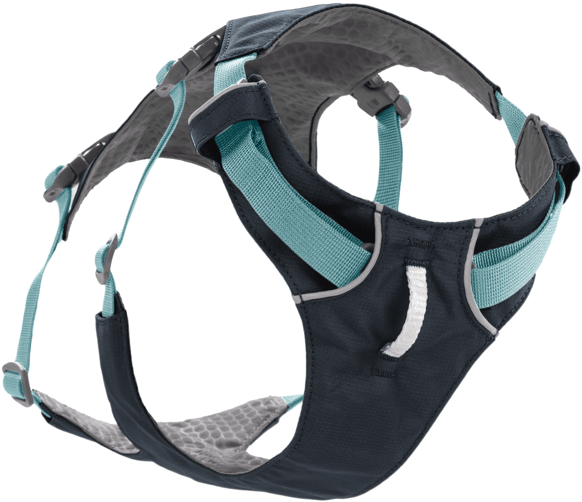 Basalt Gray