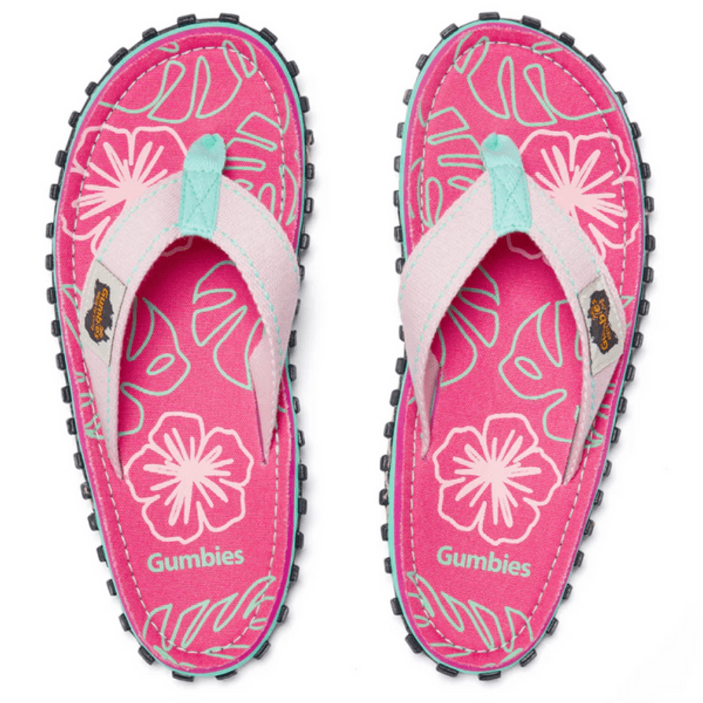 Blush Hibiscu