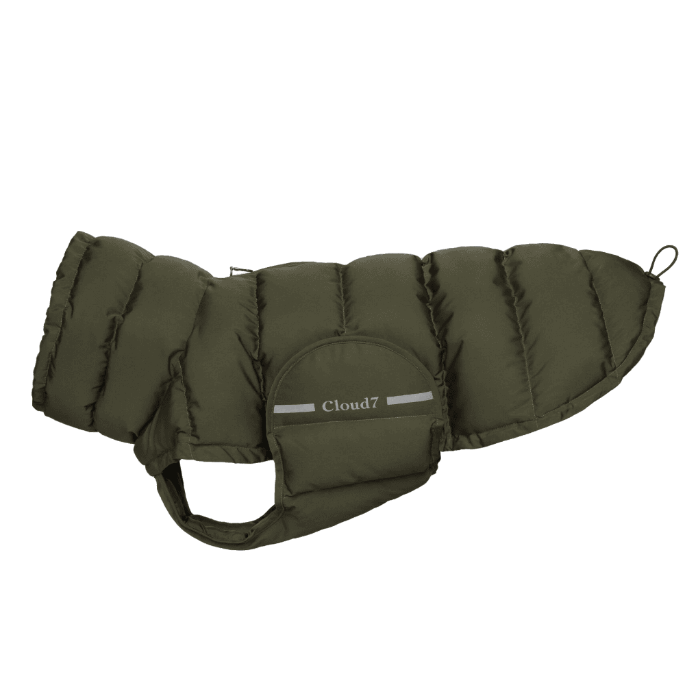 Olive
