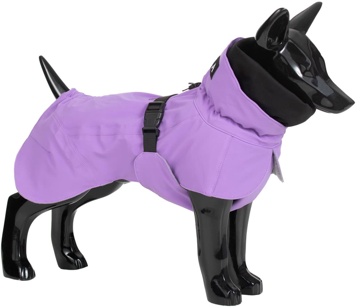 Lilac