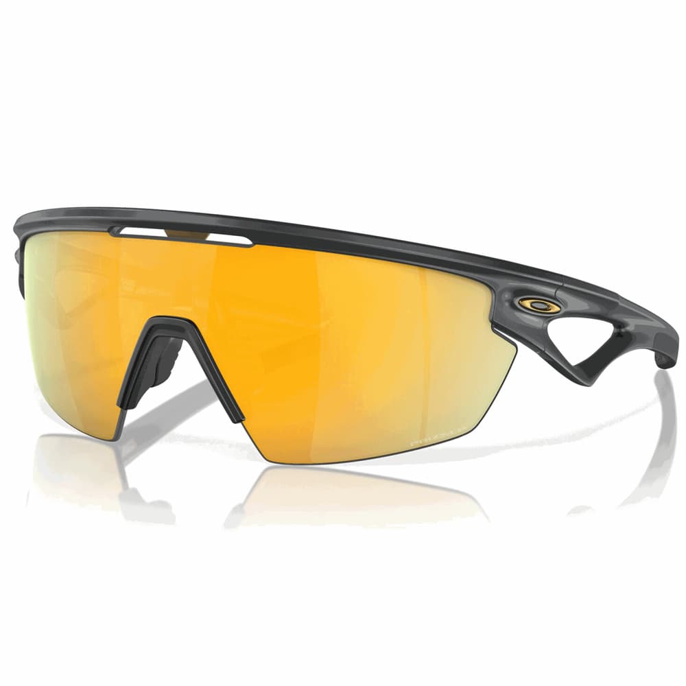 Prizm 24K Polarized